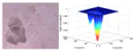 3D Imaging and Analysis for Road Maintenance